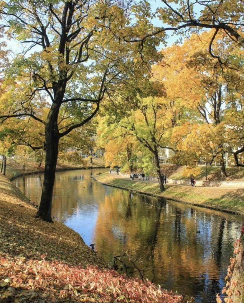 A peaceful canal lined with autumn trees in golden and green hues, reflected in calm water.